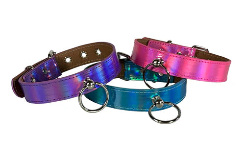 Rainbow Bondage Collar O-Ring