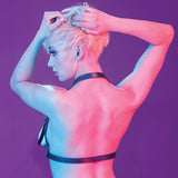 Euphoria Collection Halter Buckle Harness