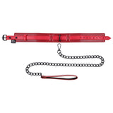 Ex's & Oh's Collar and Leash